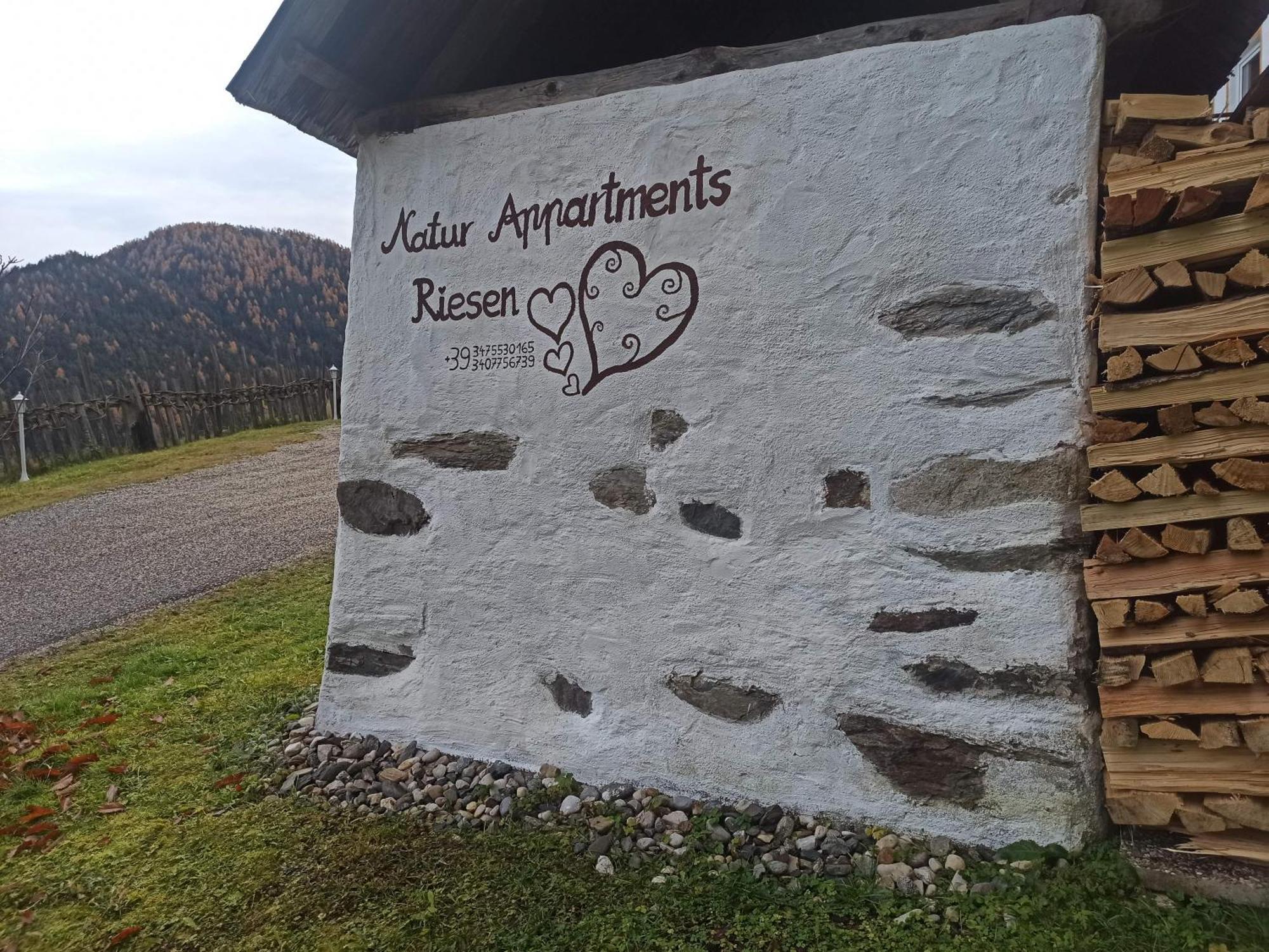 Appartments Riesen *